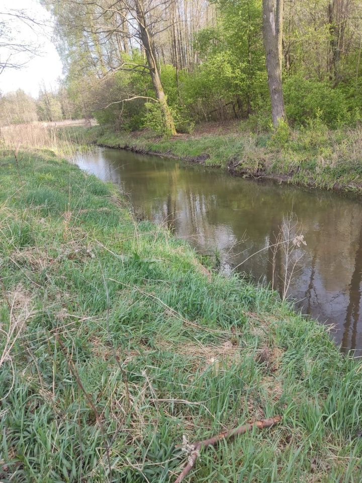 Działka budowlana Stara Jedlanka. Zdjęcie 2