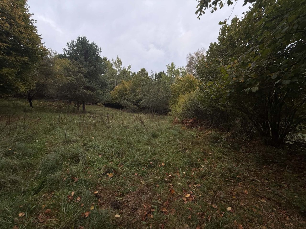 Działka rolna Chrzanów Kąty, ul. Bracka. Zdjęcie 7