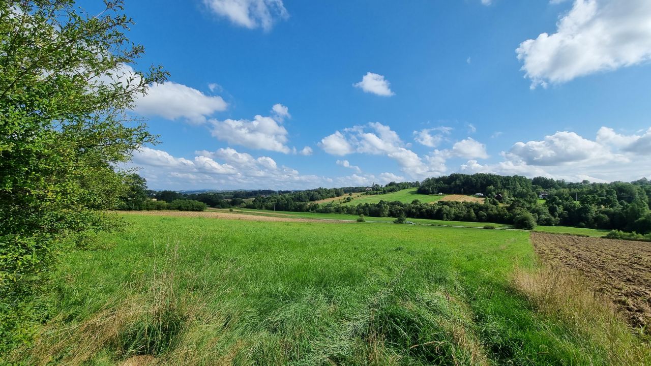 Działka rolno-budowlana Sieraków. Zdjęcie 4