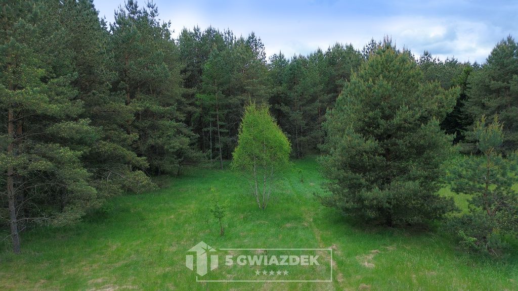 Działka siedliskowa Czochryń. Zdjęcie 7