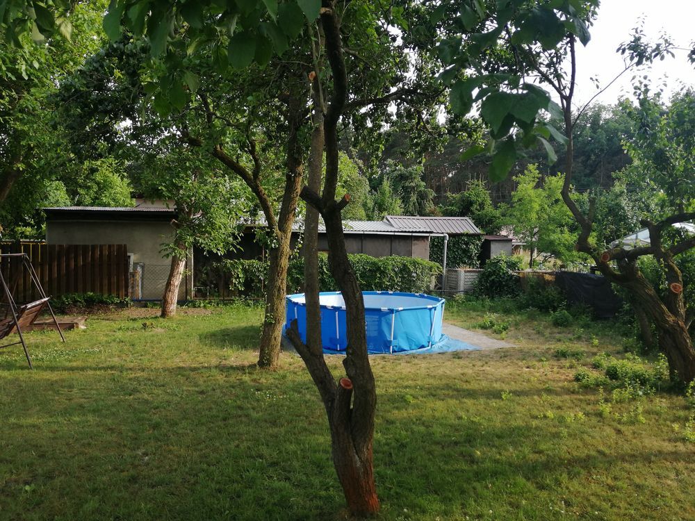 Działka rod Leszno. Zdjęcie 7