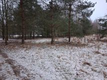 Działka rolna Stanisławów. Zdjęcie 3