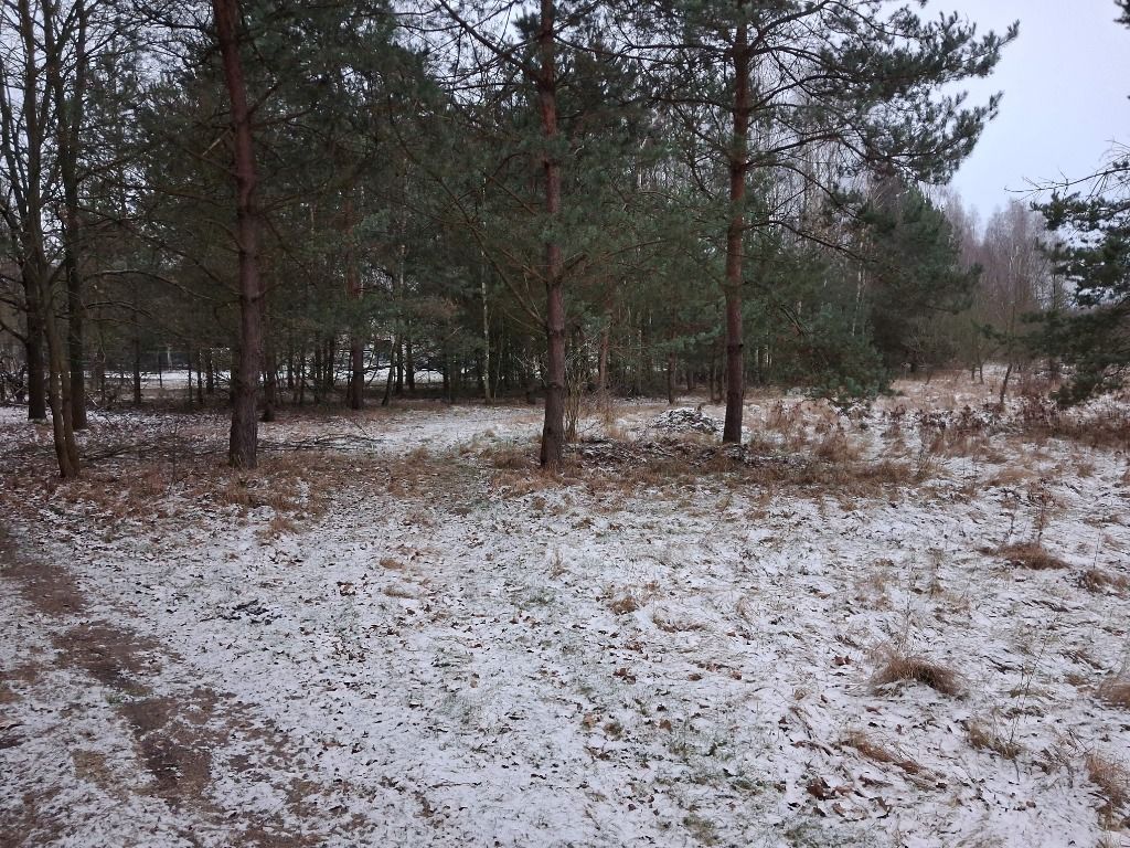 Działka rolna Stanisławów. Zdjęcie 4