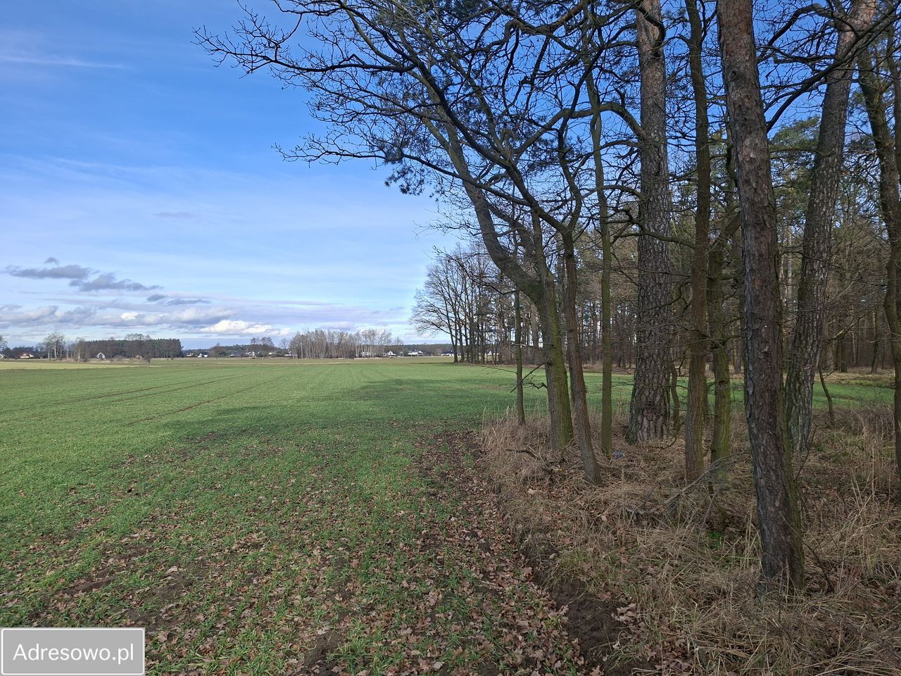 Działka rolna Zawada, ul. Luboszycka. Zdjęcie 7