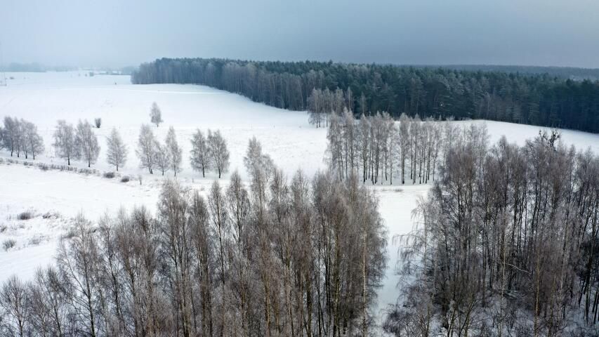 Działka budowlana Harsz. Zdjęcie 13