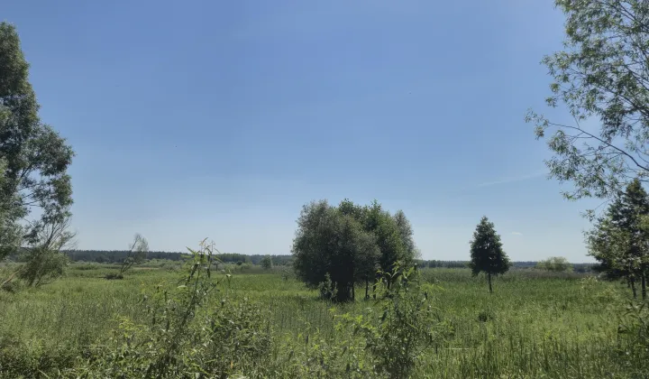 Działka rolna Odrynki, Odrynki