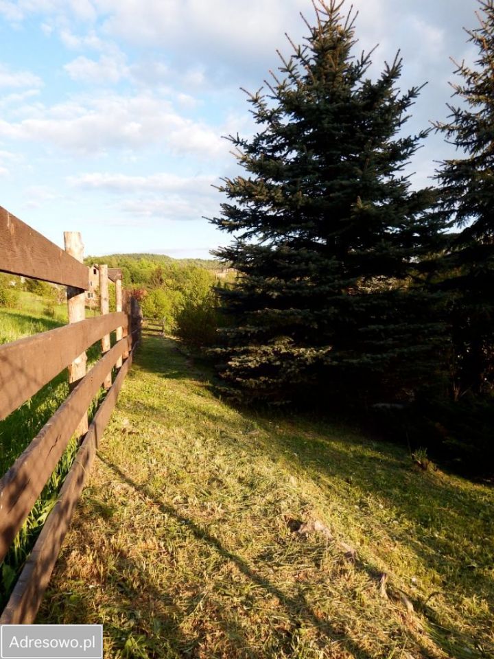 dom wolnostojący, 6 pokoi Czerna. Zdjęcie 7