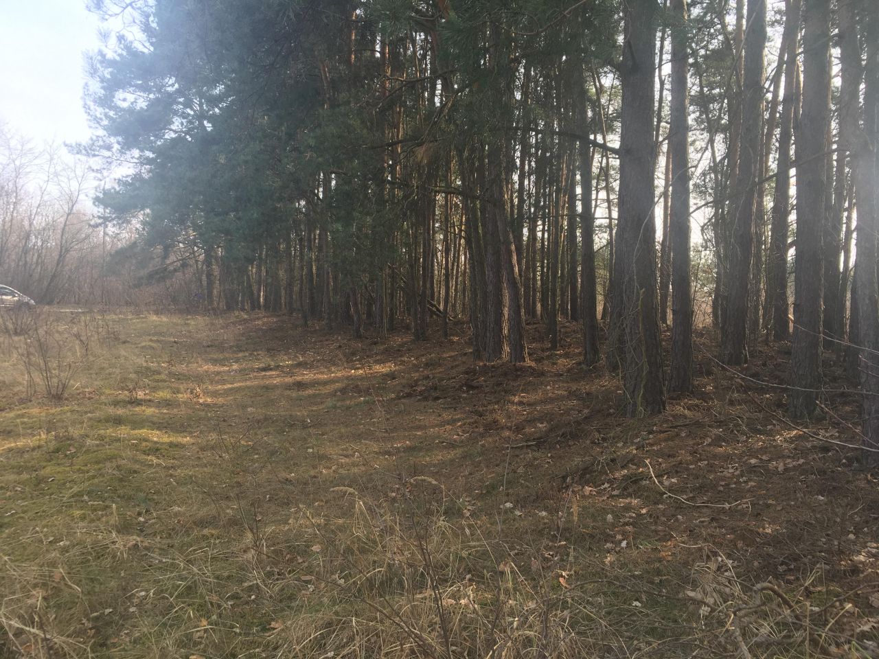 Działka rolno-budowlana Topolina, ul. Graniczna. Zdjęcie 7