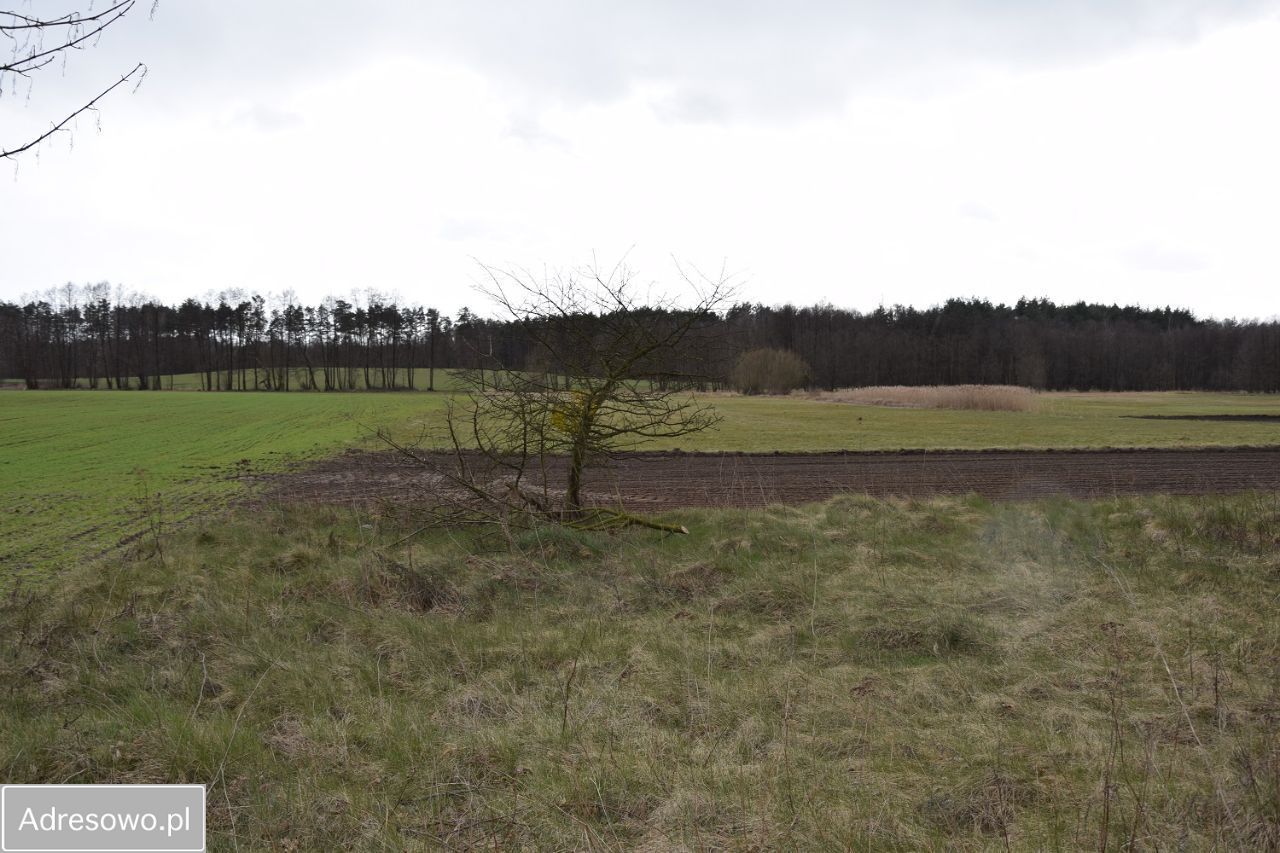 Działka budowlana Niedarzyn. Zdjęcie 5