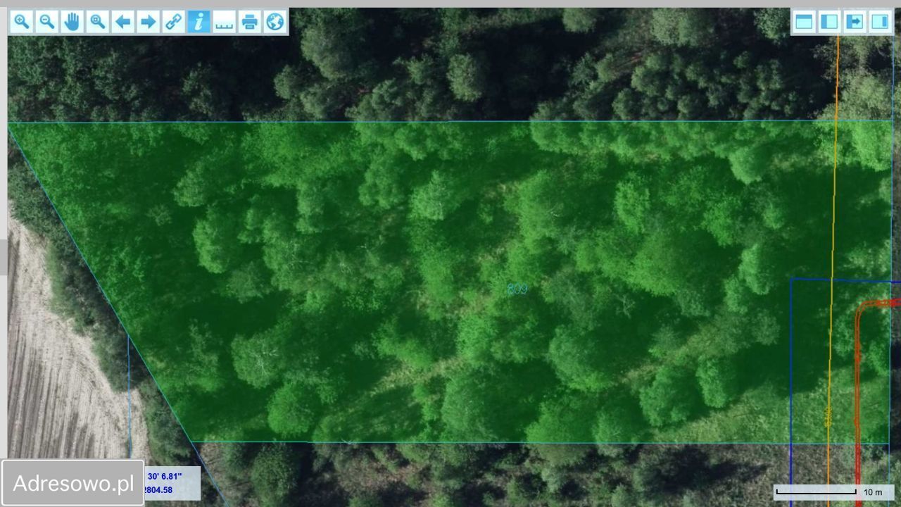 Działka Firlej. Zdjęcie 2