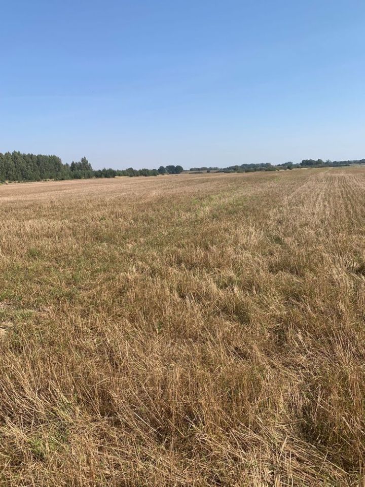 Działka rolna Głazów. Zdjęcie 5