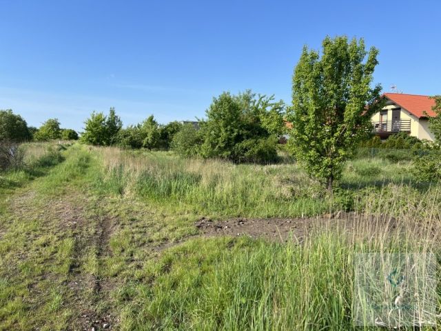 Działka inwestycyjna Wołczkowo. Zdjęcie 1