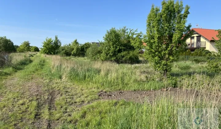 Działka inwestycyjna Wołczkowo