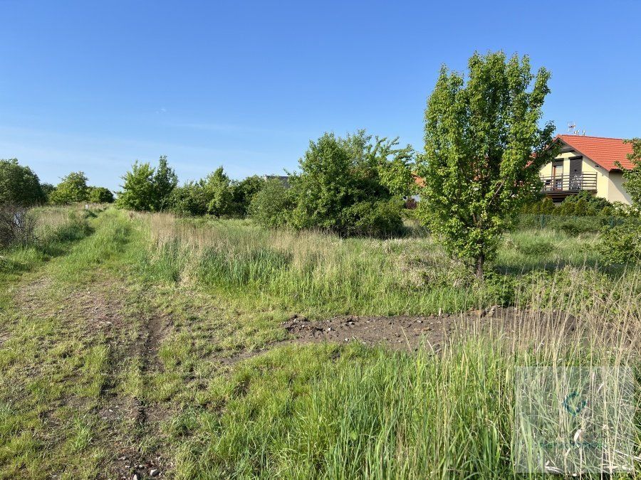 Działka inwestycyjna Wołczkowo