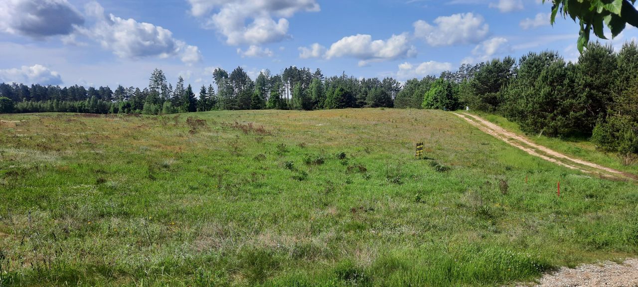 Działka rekreacyjna Kłodno. Zdjęcie 3