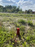 Działka rolno-budowlana Tymienice, ul. Stokrotkowa. Zdjęcie 1