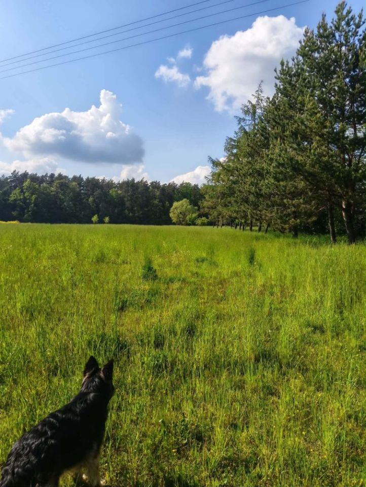Działka budowlana Folwarki Małe. Zdjęcie 4