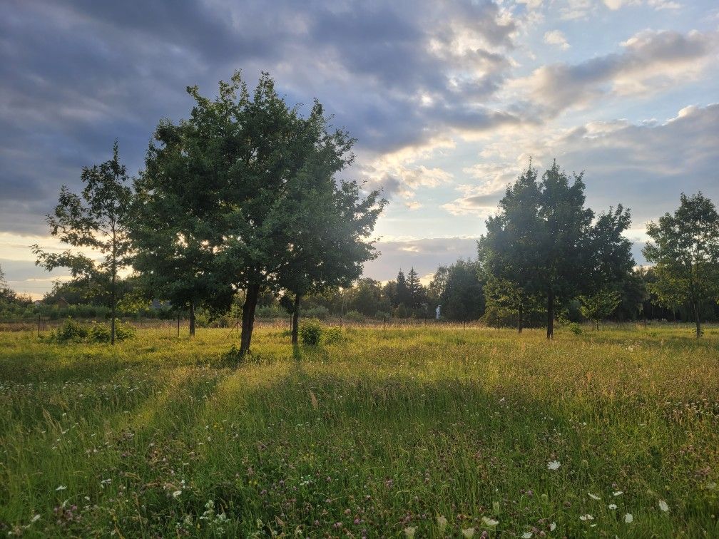 Działka budowlana Brańszczyk, ul. Orzechowa. Zdjęcie 2