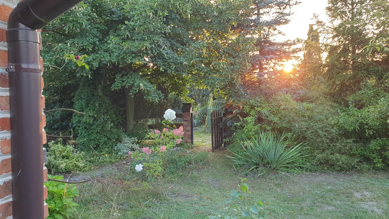 Działka rod Wieluń. Zdjęcie 3