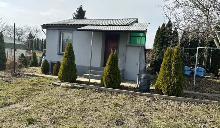 Działka rod Pajęczno