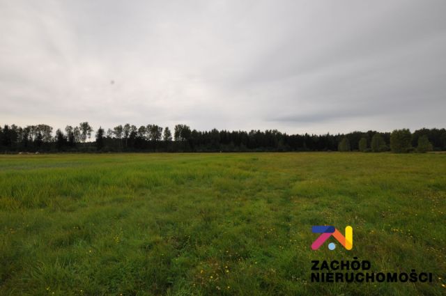 Działka budowlana Krzywczyce. Zdjęcie 3