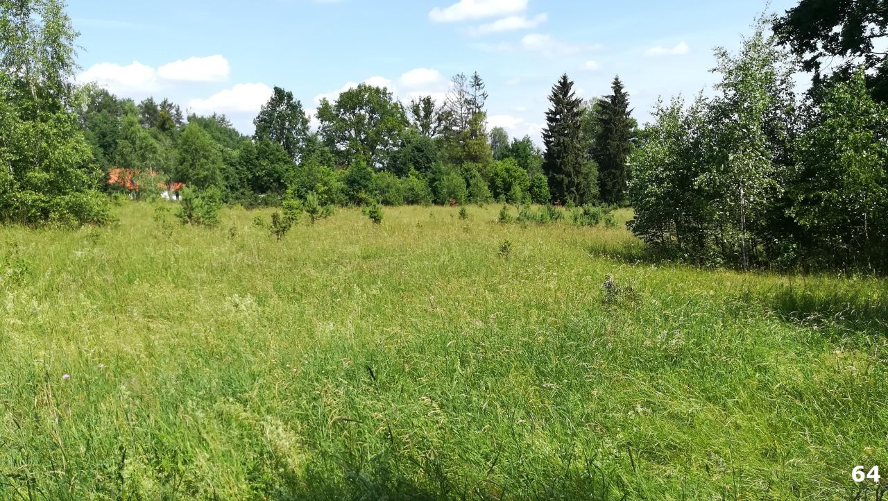 Działka budowlana Kaborno. Zdjęcie 18