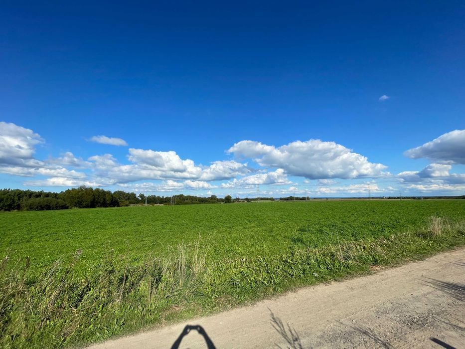 Działka budowlana Przęsocin. Zdjęcie 7