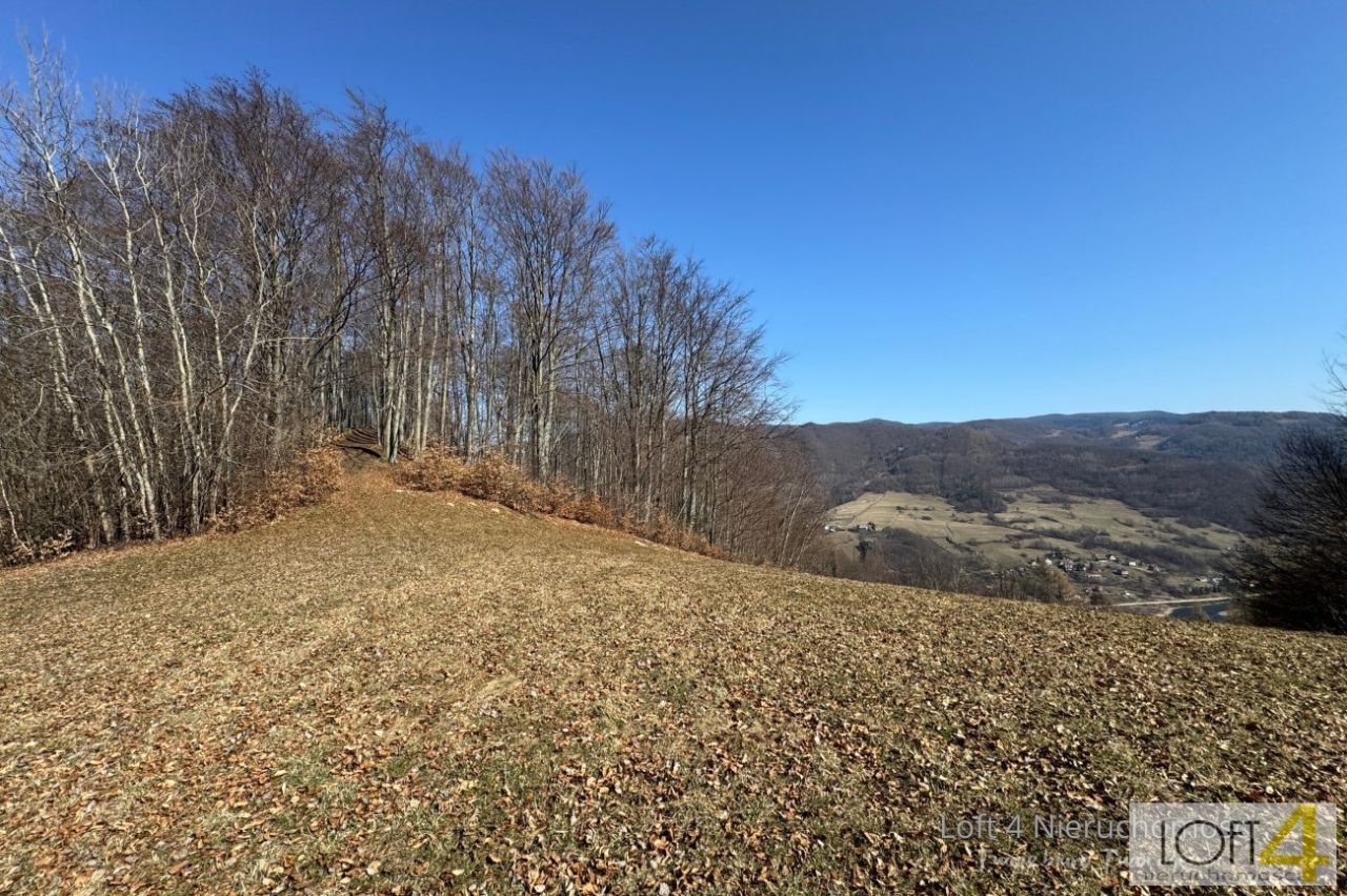 Działka budowlana Obłazy Ryterskie. Zdjęcie 15