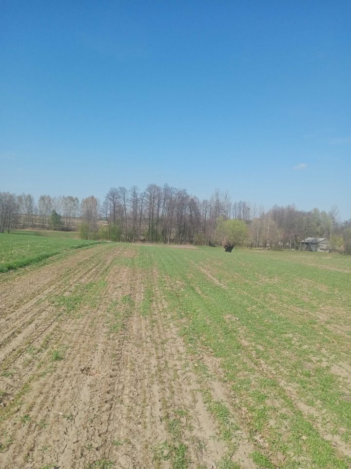 Działka budowlana Markowola-Kolonia. Zdjęcie 8