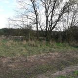 Działka rekreacyjna Tarchalice. Zdjęcie 4