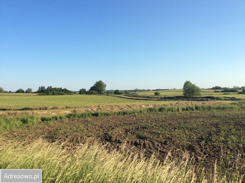 Działka rolna Niegoszcz. Zdjęcie 7