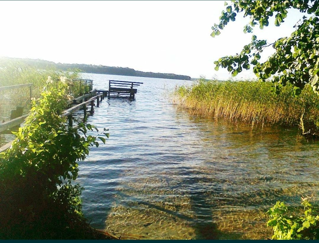 Działka rolna Trzebawie. Zdjęcie 5