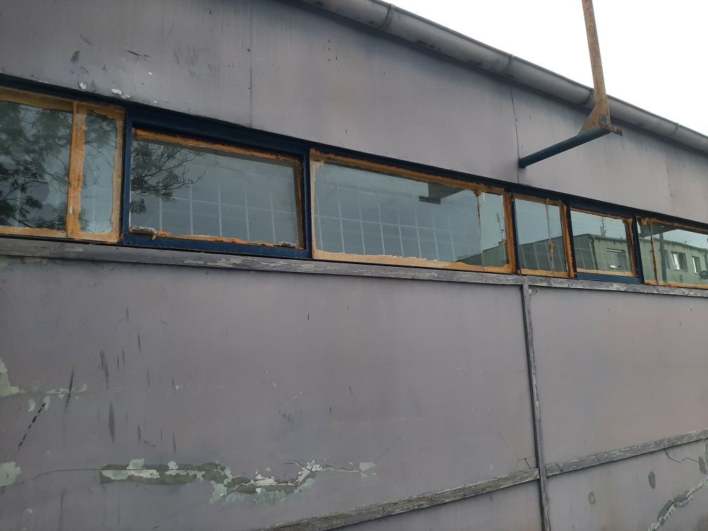 Hala/magazyn Sędzice. Zdjęcie 6