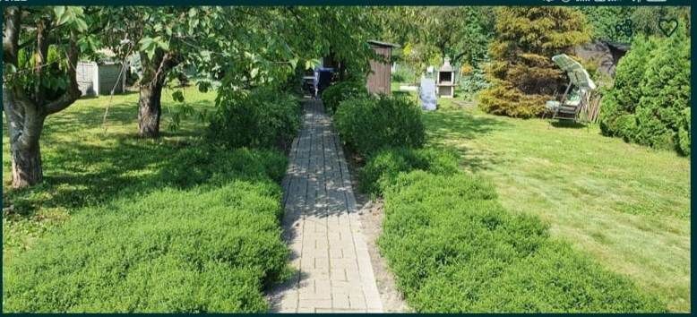 Działka rod Ostrów Wielkopolski, ul. Kaliska. Zdjęcie 7