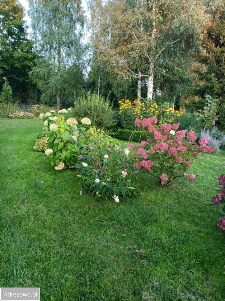 dom wolnostojący, 8 pokoi Pasym, ul. Spacerowa. Zdjęcie 15