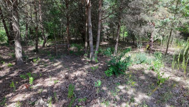 Działka budowlana Kady. Zdjęcie 9