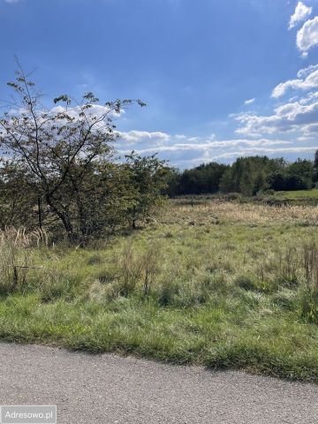 Działka rolno-budowlana Zwonowice, ul. Plebiscytowa. Zdjęcie 1