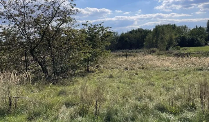 Działka rolno-budowlana Zwonowice, ul. Plebiscytowa