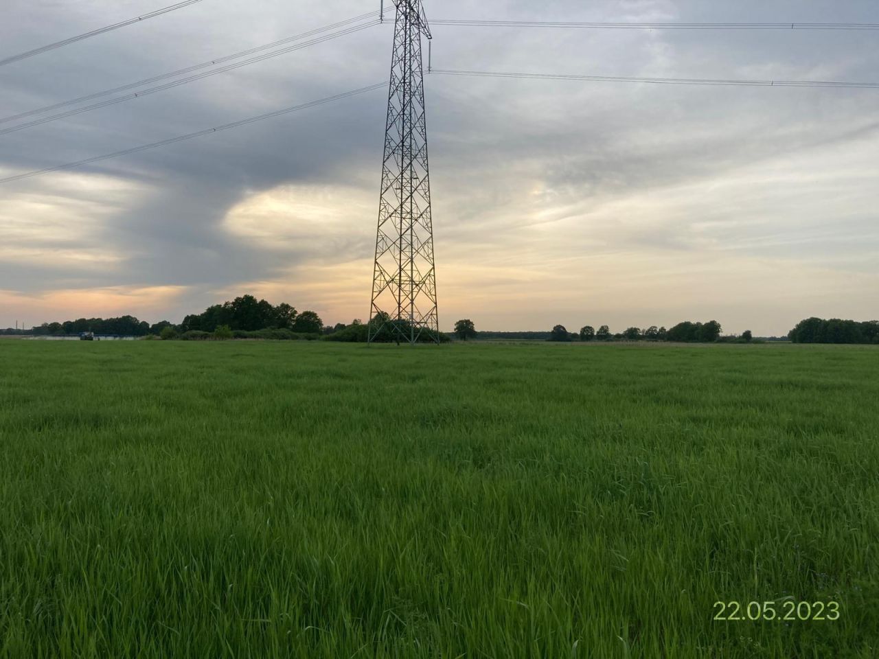 Działka rolna Brodno. Zdjęcie 3