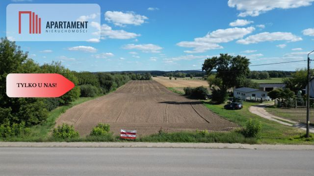 Działka budowlana Gruczno. Zdjęcie 5