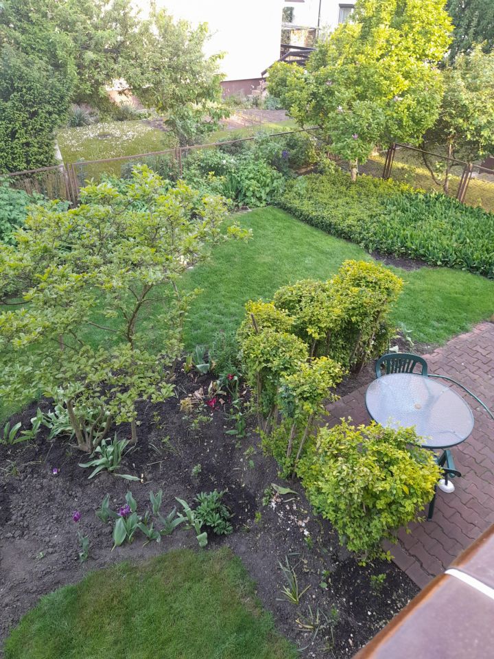 dom wolnostojący, 6 pokoi Wrocław Ołtaszyn, ul. Obrońców Poczty Gdańskiej. Zdjęcie 17