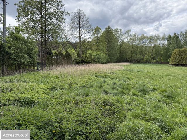 Działka budowlana Mała Nieszawka, ul. Leśna. Zdjęcie 1