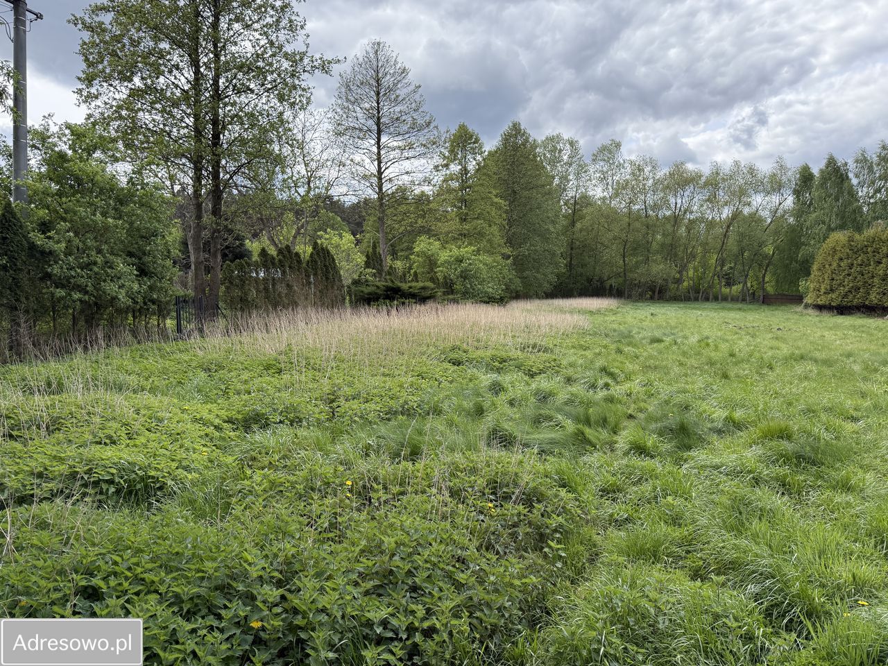 Działka budowlana Mała Nieszawka, ul. Leśna