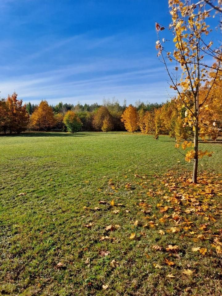 dom wolnostojący, 5 pokoi Czarny Las. Zdjęcie 16