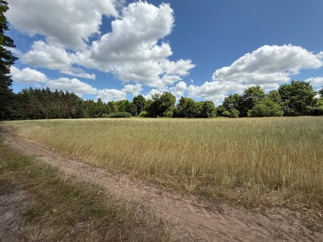 Działka budowlana Zielkowo. Zdjęcie 7