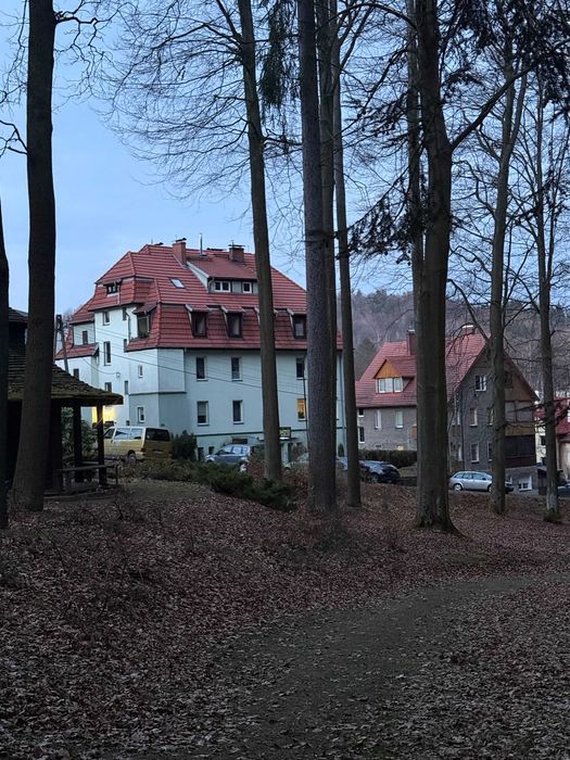 Mieszkanie 4-pokojowe Jedlina-Zdrój. Zdjęcie 7