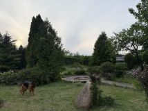 Działka rod Piła. Zdjęcie 3