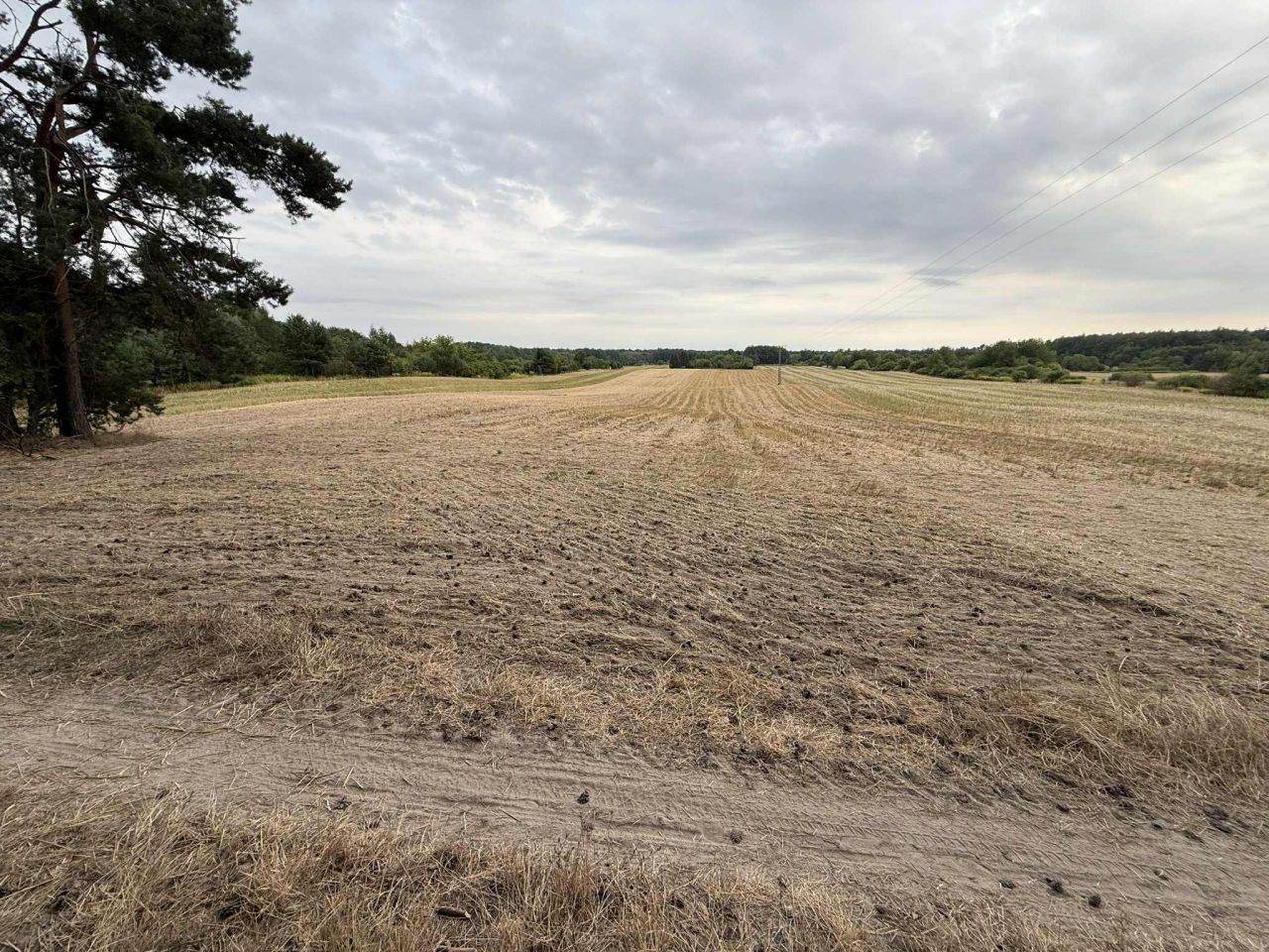 Działka rolno-budowlana Urzędów, ul. Wodna. Zdjęcie 6