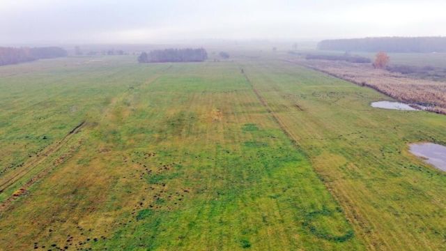 Działka rolna Siedliska. Zdjęcie 6