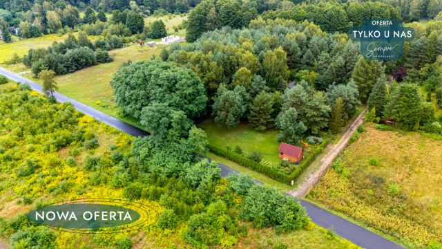 Działka inwestycyjna Chociszew. Zdjęcie 10